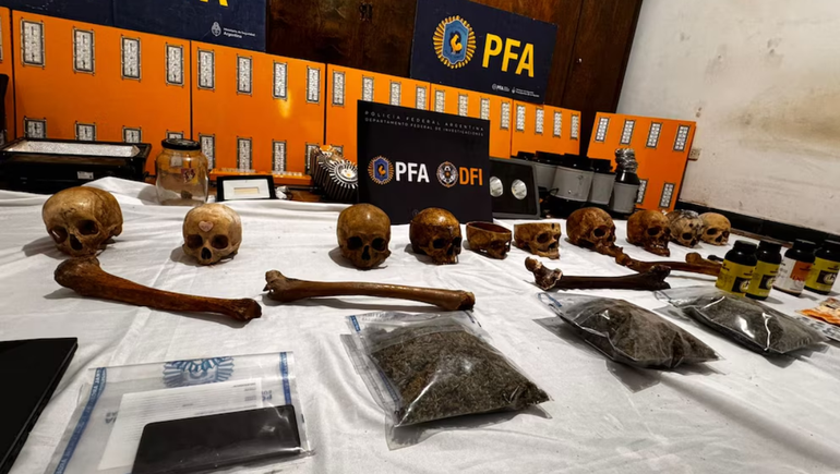 Cráneos aparecieron en un grow shop durante un allanamiento