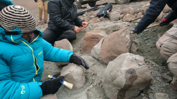 La expedición en una estancia ubicada 30 kilómetros al sur de El Calafate, en Santa Cruz, se hizo en la primera etapa de la cuarentena del covid. Cinco años después, están los resultados. La expedición en una estancia ubicada 30 kilómetros al sur de El Calafate, en Santa Cruz, se hizo en la primera etapa de la cuarentena del covid. Cinco años después, están los resultados.