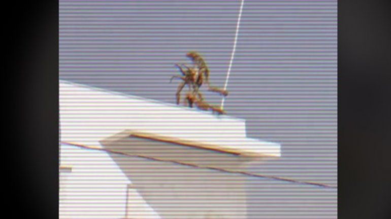 El hallazgo en Google Maps genera reacciones en TikTok