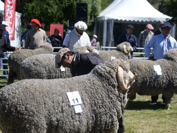 El año pasado fue todo un éxito la Expor Rural de Bariloche.