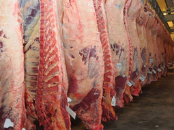 En la Patagonia, alertan: Se están paralizando los mercados. En la Patagonia, alertan: Se están paralizando los mercados.