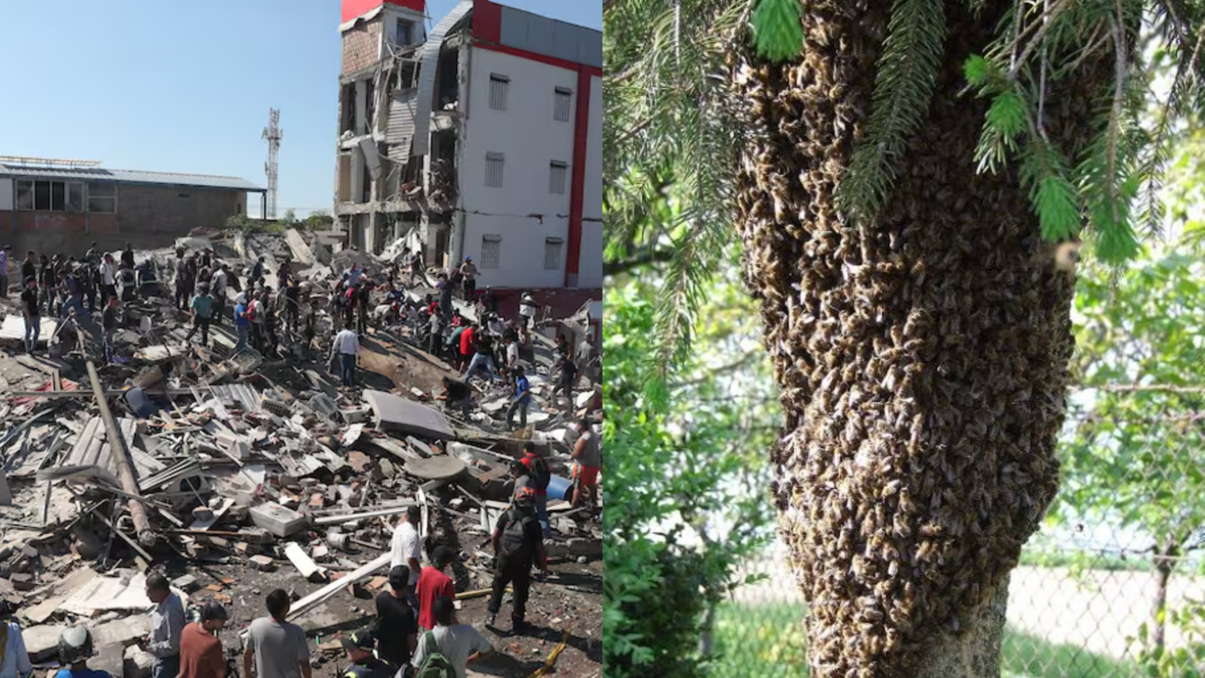 Hugo Kogan es marplatense y se encontraba en Colombia cuando ocurrió el terremoto.