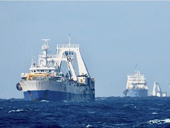 Si la Legislatura aprueba la iniciativa, Chubut daría un paso decisivo hacia una pesca más ordenada, transparente y sostenible.