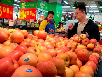 La sobreoferta de fruta y las débiles ventas golpean al sector frutícola chino, con precios en caída libre y crecientes pérdidas para los productores. La sobreoferta de fruta y las débiles ventas golpean al sector frutícola chino, con precios en caída libre y crecientes pérdidas para los productores.
