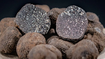 trufas