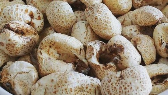 ¡No compres más! Esta es la receta para hacer tutucas caseras que no falla
