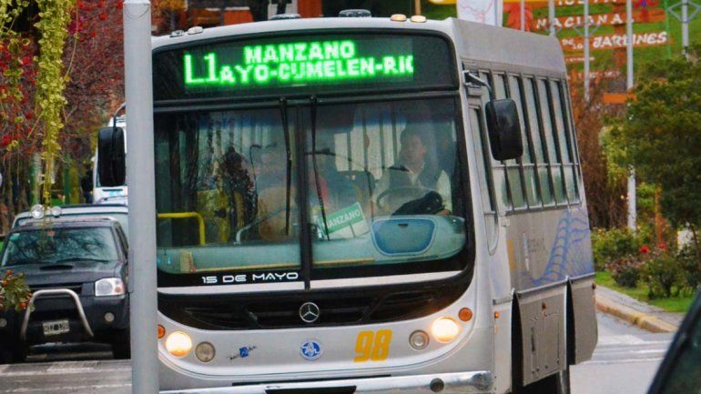 Linsa fue reemplazada en la prestación del transporte en la villa.