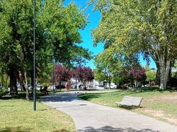 este domingo continuara el calor en el alto valle, pero con la irrupcion menos esperada este domingo continuara el calor en el alto valle, pero con la irrupcion menos esperada