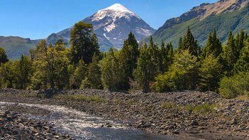 organizaciones rechazan las modificaciones de ley de bosques organizaciones rechazan las modificaciones de ley de bosques