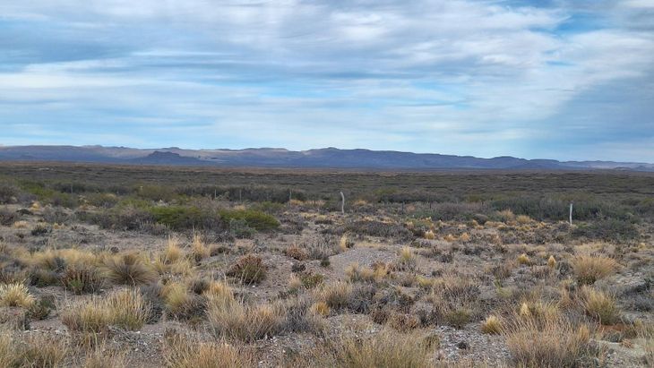 Un nuevo negocio llega a los campos de la Patagonia: vender carbono al mundo