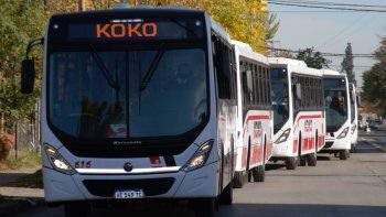 koko renueva su flota con colectivos ecologicos e inclusivos koko renueva su flota con colectivos ecologicos e inclusivos