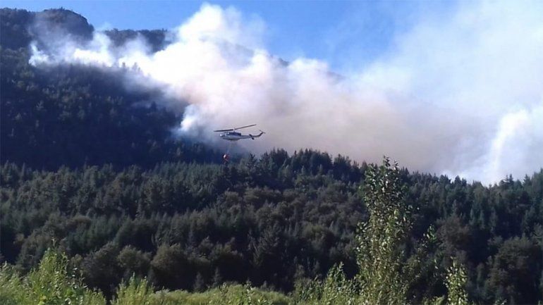 Combaten un incendio forestal cerca de Lago Puelo