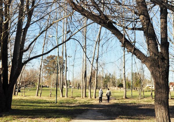 Otro colegio privado pide un terreno