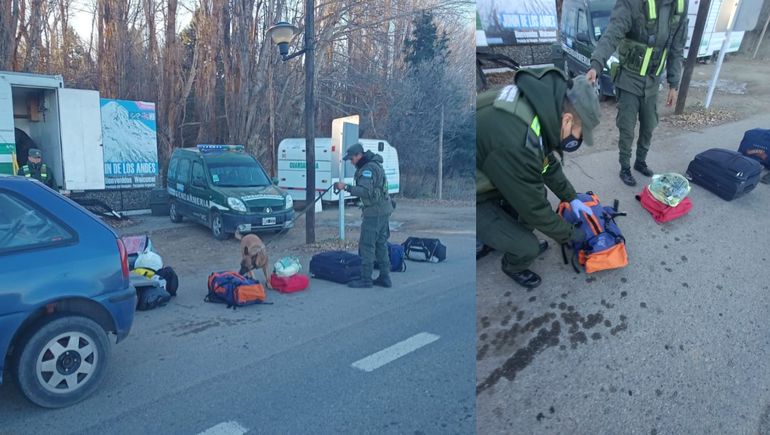 Gendarmería secuestró 100 gramos de marihuana en un control de tránsito