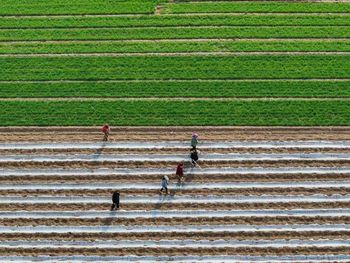 Dicen que la agricultura brasileña es la más deseada del mundo como alternativa a EE.UU.