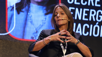 Gas: el mapa trazado por Tettamanti para el invierno | LM Neuquen Gas: el mapa trazado por Tettamanti para el invierno