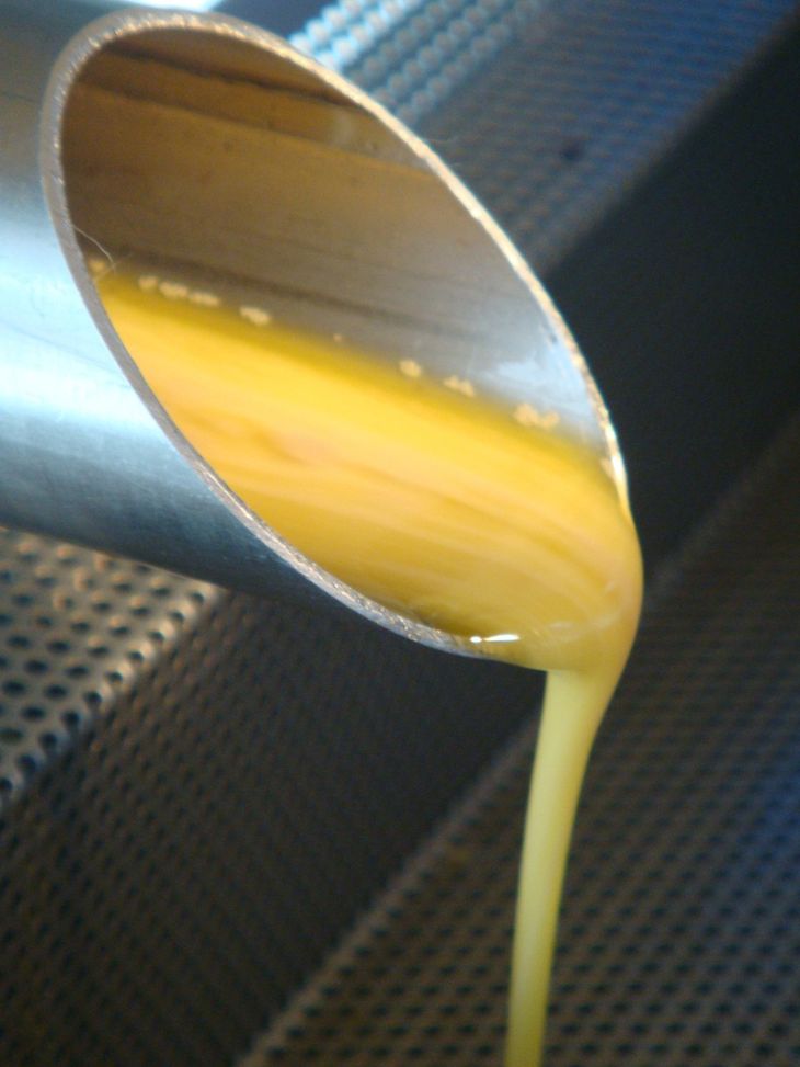 Calidad certificada: Gracias a la combinación del suelo y el clima del Alto Valle, el emprendimiento logra un aceite de oliva extra virgen de excelencia. Calidad certificada: Gracias a la combinación del suelo y el clima del Alto Valle, el emprendimiento logra un aceite de oliva extra virgen de excelencia.