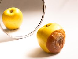 Pareciera que el Gobierno no termina de ver -o entender- la necesidad de implementar medidas para el sector frutícola. Pareciera que el Gobierno no termina de ver -o entender- la necesidad de implementar medidas para el sector frutícola.