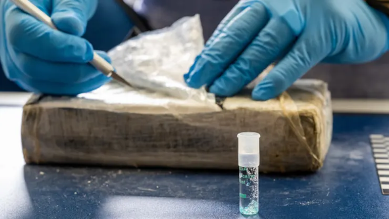 Los paquetes de cocaína incautados tenían el famoso sello del delfín.