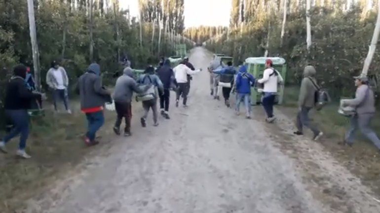 Arrancaron la jornada de cosecha frutícola al ritmo del Pim Pim