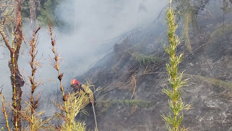 Incendio en el Parque Nacional Lanín: el viento sopló fuerte y generó focos secundarios