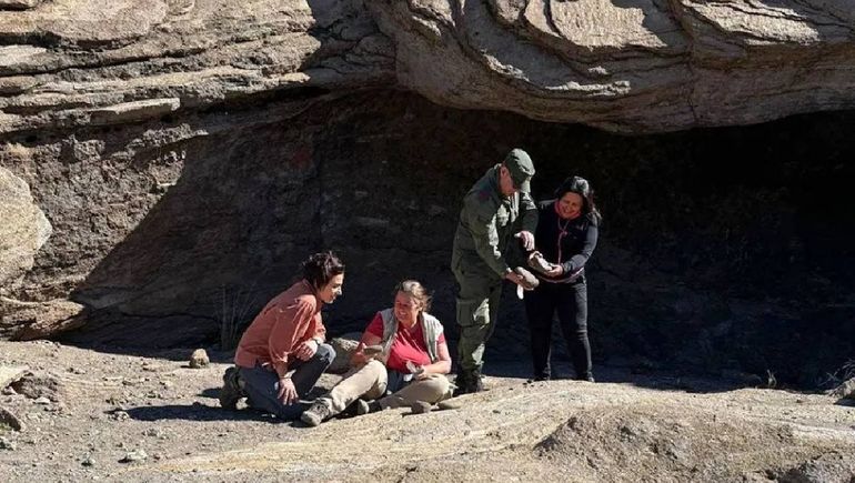 Los hallazgos arqueológicos de los estudios del CONICET en la Cuenca del Agrio.