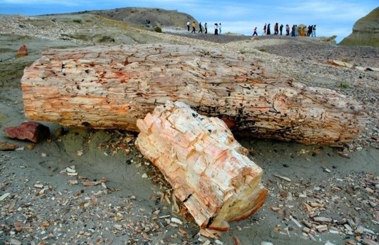 Visitas al Bosque Petrificado de Sarmiento, en Chubut.