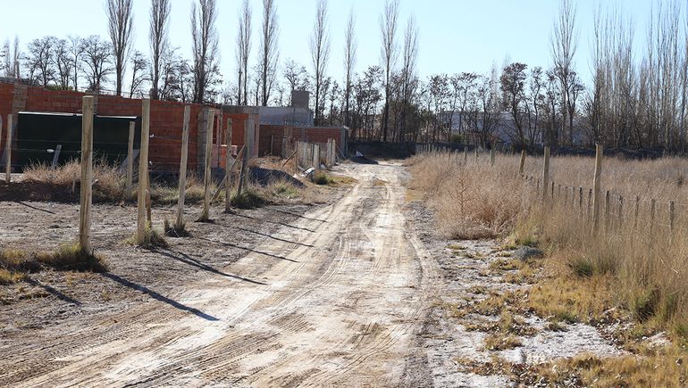 El loteo Las Mutisias en Valetntina Sur.
