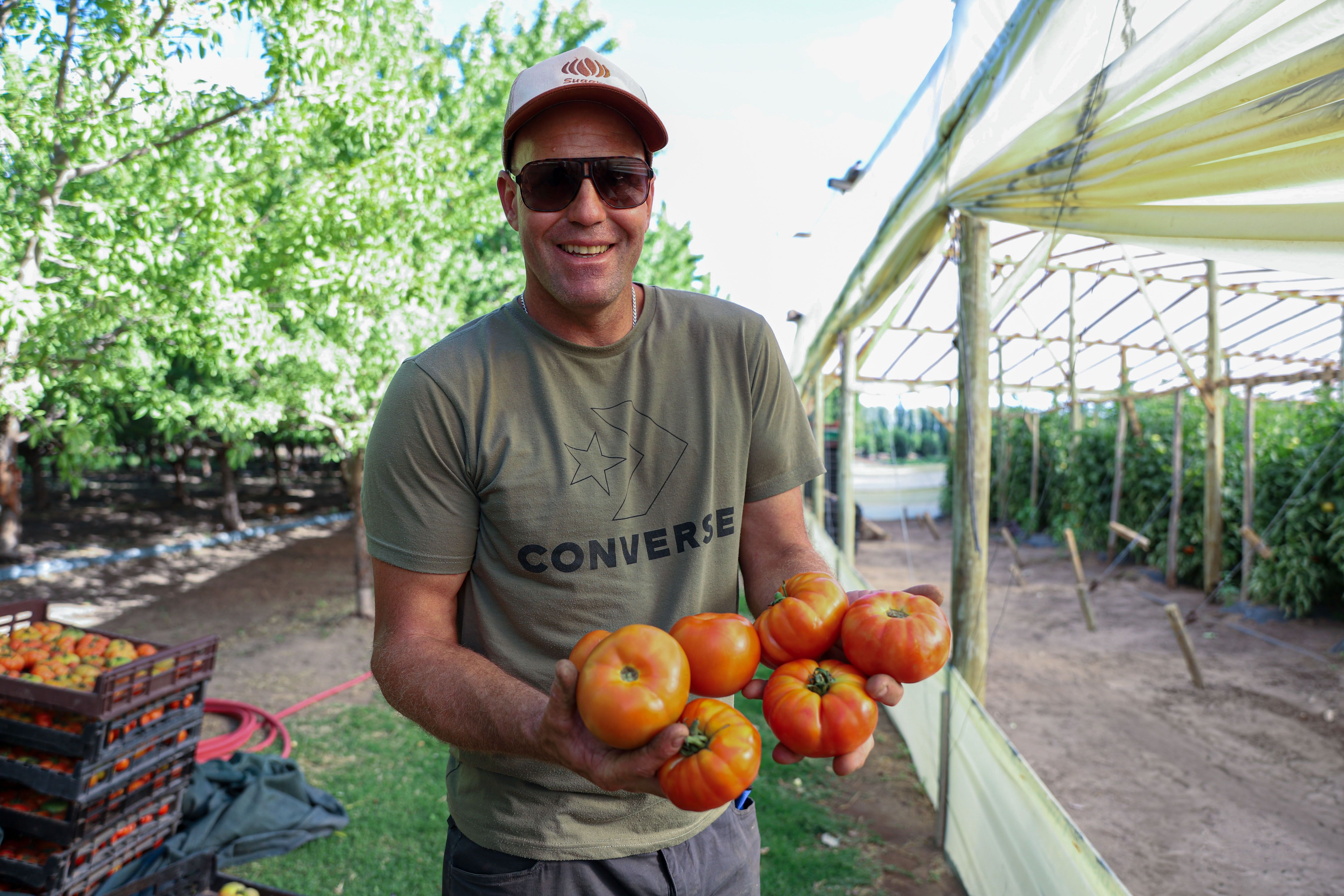 Mauricio Kinter, orgulloso de sus tomates. Foto: Omar Novoa.&nbsp;