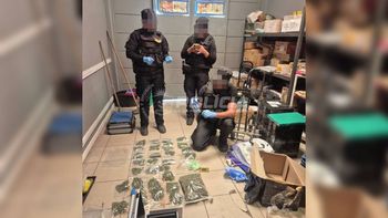 La participación de los perros antinarcóticos en la detección de drogas fue clave. La participación de los perros antinarcóticos en la detección de drogas fue clave.