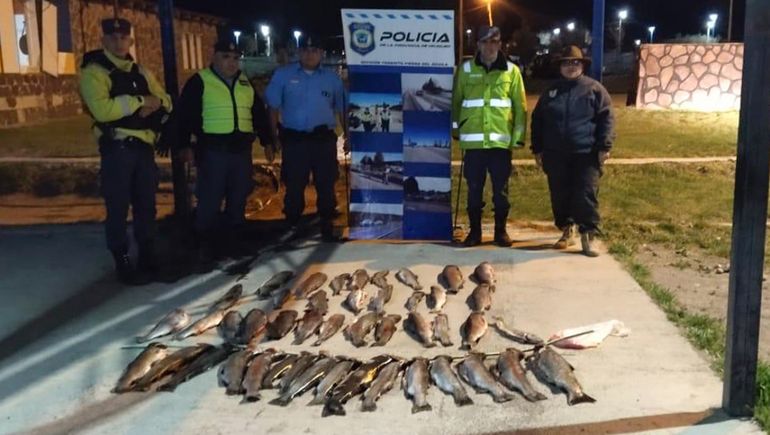 Pesca furtiva: Fauna incautó 98 truchas en Piedra del Águila