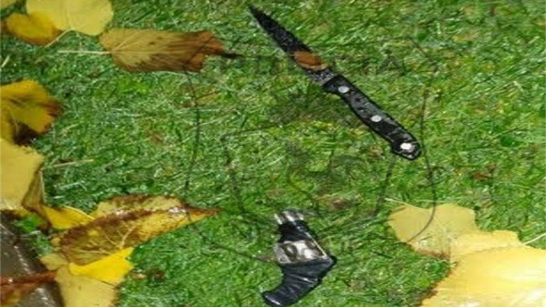 Las dos armas quedaron tiradas en un jardín de la calle Francisco Jurado.