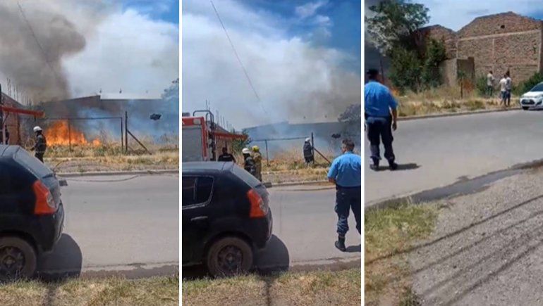 Susto y fuego: qué pasó en un terreno privado del barrio Progreso
