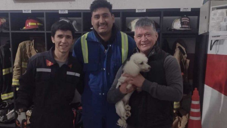 Bomberos Voluntarios de Plaza Huincul salvaron la vida de un perrito