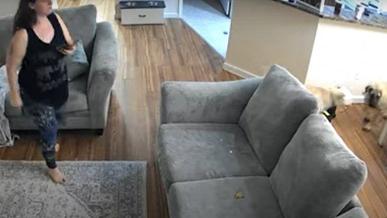 Este video de YouTube quedó captado en una cámara de seguridad