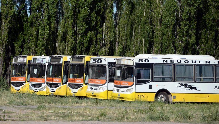 Piden informes a Autobuses Neuquén por deuda de cuotas alimentarias