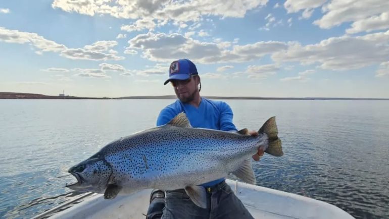 El pescador recalcó que el reglamento de pesca determina devolver a estos animales al agua. El pescador recalcó que el reglamento de pesca determina devolver a estos animales al agua.