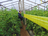 La implementación de estas prácticas ayuda a una producción económicamente sostenible. Foto: INTA