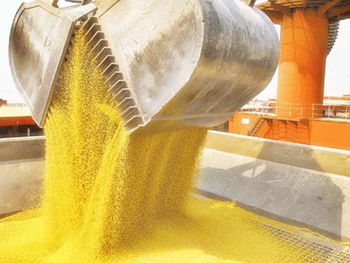 La harina de soja es el principal producto de la cartera exportadora de Argentina.