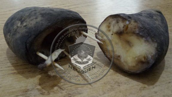 Intentaron ingresar marihuana a una cárcel dentro de papas huecas