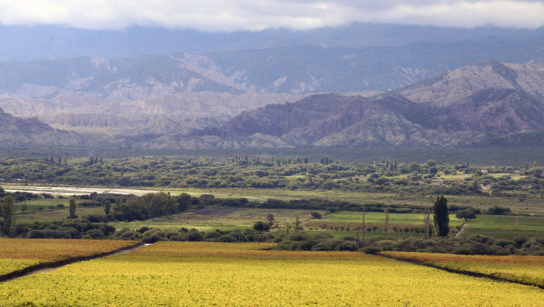 Altura y valle, la combinación de relieve que se materializa en los vinos de Bodega El Esteco.