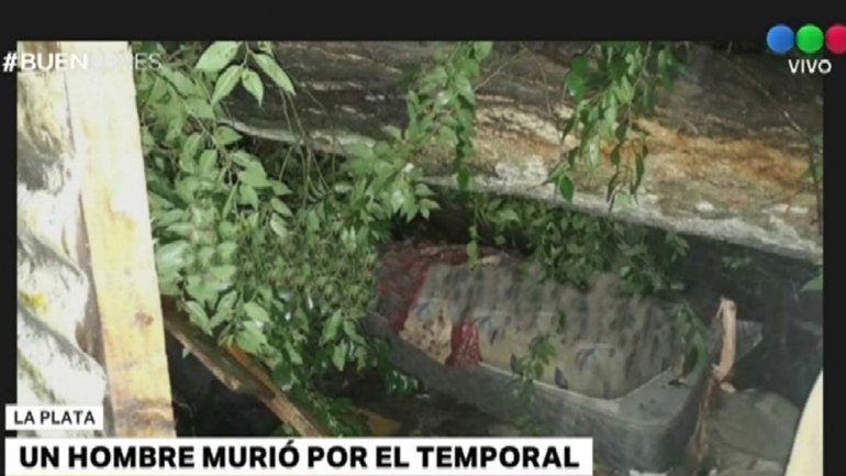 Un árbol cayó durante un temporal y aplastó una casa: un muerto