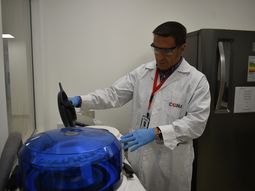 El Panorama Completo contra el Hambre. La Genómica, a diferencia de la genética tradicional, nos da una fotografía gran angular para ver la interacción de miles de genes. El Panorama Completo contra el Hambre. La Genómica, a diferencia de la genética tradicional, nos da una fotografía gran angular para ver la interacción de miles de genes.