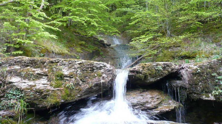 La ONU se propuso resaltar la importancia de ambos recursos.