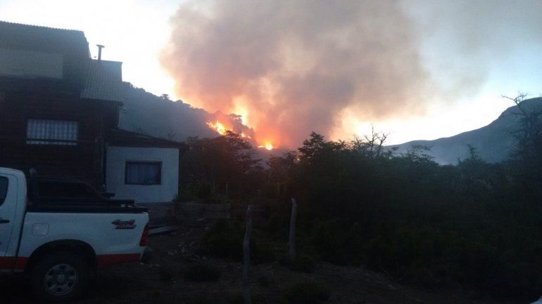 El fuego afectó 20 hectáreas del bosque nativo de Moquehue