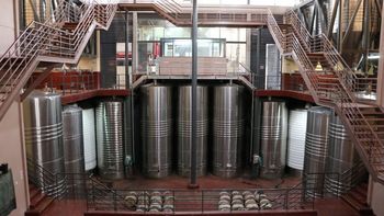 Burbujas premium: La bodega inicia la producción de su primer espumante con método tradicional. | LM Neuquen Burbujas premium: La bodega inicia la producción de su primer espumante con método tradicional.