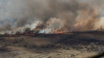 restaurar los humedales del rio parana tras los incendios llevara mas de 300 anos restaurar los humedales del rio parana tras los incendios llevara mas de 300 anos