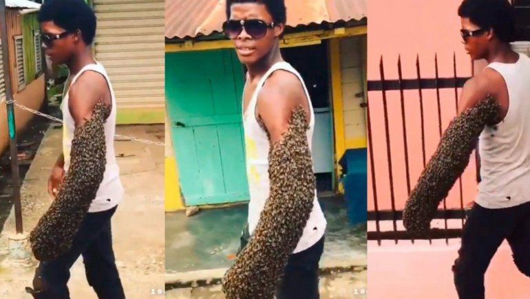 Viral: el video de un hombre que transporta abejas en su brazo causa escalofríos en redes