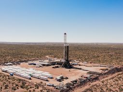 Rincón de Aranda es la apuesta de Pampa Energía por la ventana petrolera de Vaca Muerta.