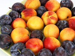 Enla jornada se debatió la necesidad de estimular la exportación para proyectar un cambio de escala productivo. Enla jornada se debatió la necesidad de estimular la exportación para proyectar un cambio de escala productivo.